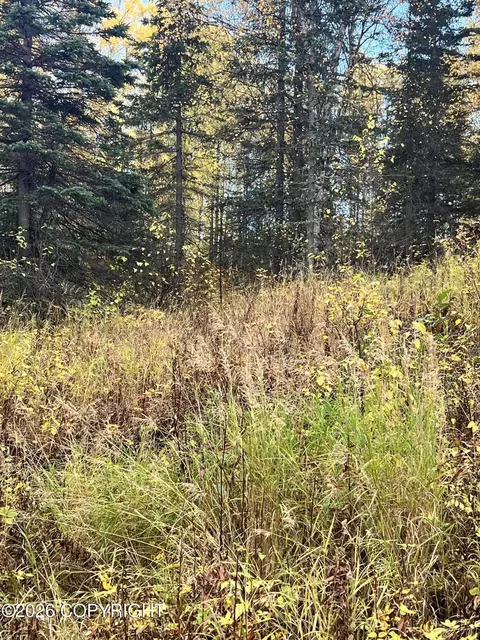 2432 N Barnacle Dr, Wasilla, AK 99623