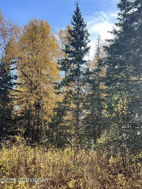 2492 N Barnacle Dr, Wasilla, AK 99623