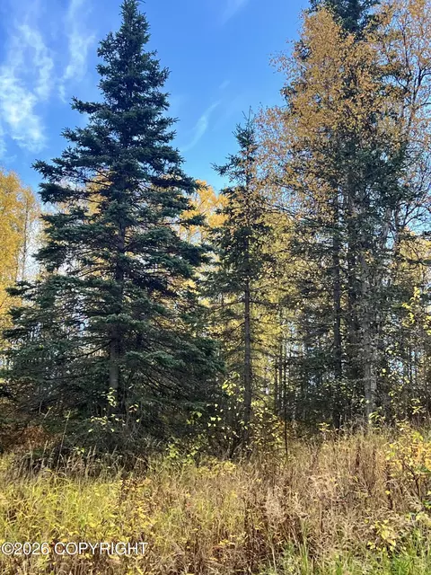 2518 N Barnacle Dr, Wasilla, AK 99623