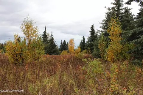 Other - 17367 Matson St, Ninilchik, AK 99639 photo 26 of 29