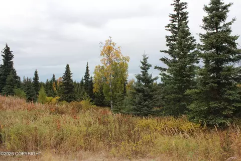 Other - 17367 Matson St, Ninilchik, AK 99639 photo 21 of 29