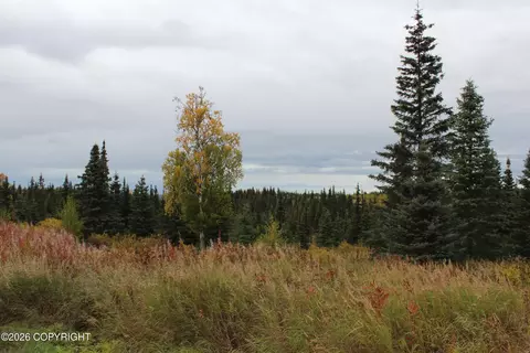 Other - 17367 Matson St, Ninilchik, AK 99639 photo 22 of 29