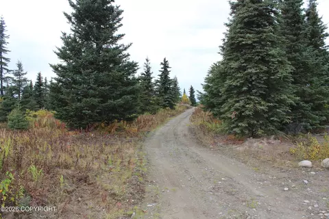 Other - 17367 Matson St, Ninilchik, AK 99639 photo 28 of 29