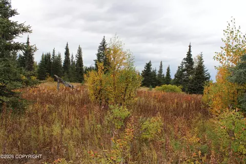 Other - 17367 Matson St, Ninilchik, AK 99639 photo 25 of 29