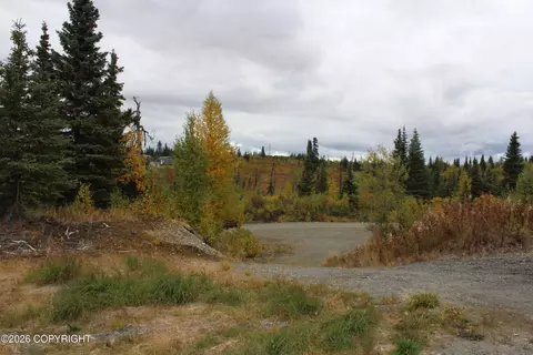 Exterior - 17367 Matson St, Ninilchik, AK 99639 photo 2 of 4