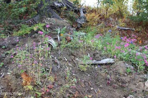 Other - 17367 Matson St, Ninilchik, AK 99639 photo 17 of 29