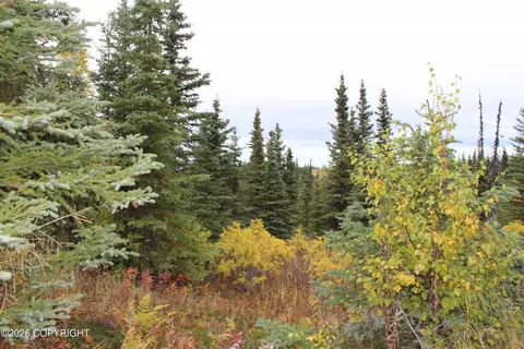 Other - 17367 Matson St, Ninilchik, AK 99639 photo 20 of 29