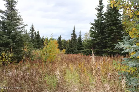 Other - 17367 Matson St, Ninilchik, AK 99639 photo 24 of 29