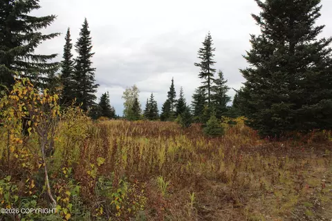 Other - 17367 Matson St, Ninilchik, AK 99639 photo 29 of 29