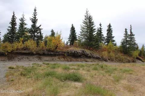 Other - 17367 Matson St, Ninilchik, AK 99639 photo 19 of 29