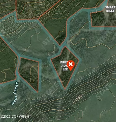 Tract A June Creek Area Asls 84-1, Healy, AK 99743