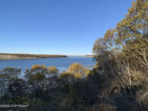 L11 B11 Caribou Circle, Naknek, AK 99633