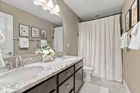 Bath - 21930 Sheltering Spruce Loop, Chugiak, AK 99567 photo 6 of 6