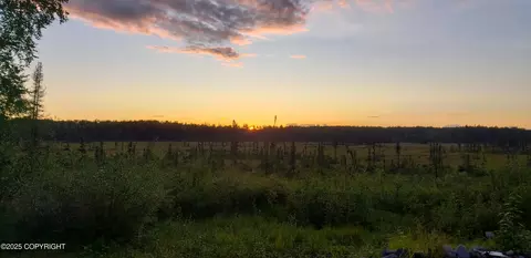 Other - 48324 S Brown Bear Rd, Willow, AK 99688 photo 19 of 22