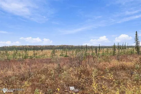 Other - 48324 S Brown Bear Rd, Willow, AK 99688 photo 12 of 22