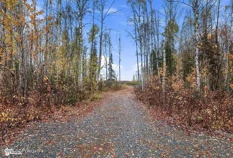 Other - 48324 S Brown Bear Rd, Willow, AK 99688 photo 10 of 22