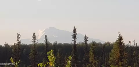 Other - 48324 S Brown Bear Rd, Willow, AK 99688 photo 17 of 22