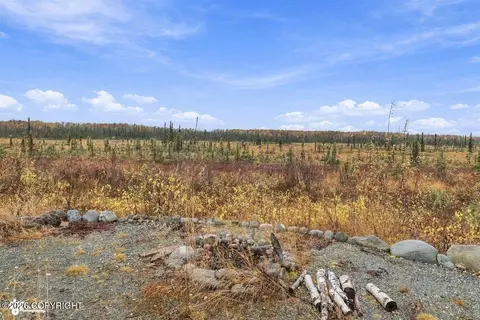 Exterior - 48324 S Brown Bear Rd, Willow, AK 99688 photo 7 of 11