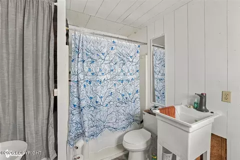 Bath - 48324 S Brown Bear Rd, Willow, AK 99688 photo 2 of 2