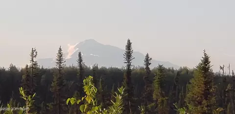 Other - 48324 S Brown Bear Rd, Willow, AK 99688 photo 18 of 22