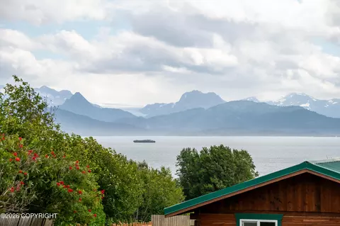 View/Area - 59565 End Rd, Homer, AK 99603 photo 5 of 13