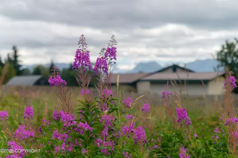 Other - 59565 End Rd, Homer, AK 99603 photo 9 of 9