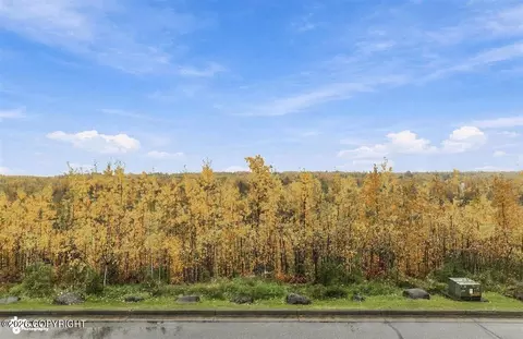 Other - 6000 S Clearview Loop # 10, Wasilla, AK 99654 photo 7 of 7