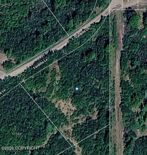 51580 Tordrillo Ln, Nikiskinorth Kenai, AK 99635