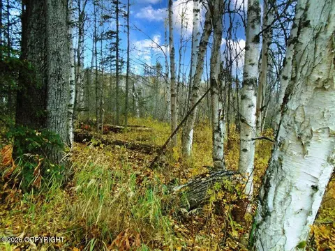 C002 King River Road, Sutton, AK 99674 photo 3
