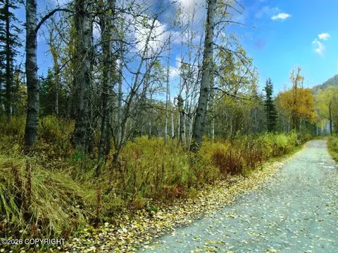 C002 King River Road, Sutton, AK 99674 photo 4