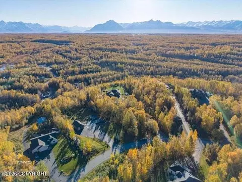 3043 W Discovery Loop, Wasilla, AK 99654 photo 30