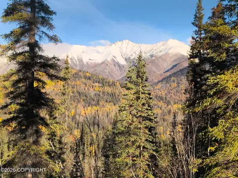 Nhn Mccarthy, Chitina, AK 00000