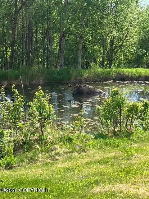 1990 Years Maps 1990 N Byers Ranch Rd, Palmer, AK 99645 | MLS# 26-13292 | 9 Photos - Movoto