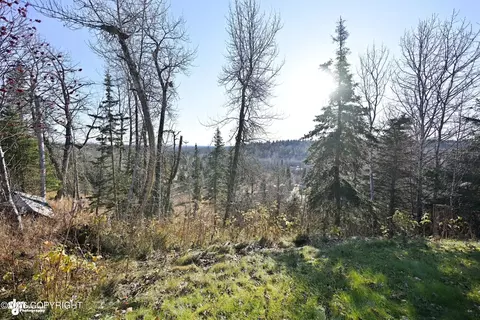 Exterior - 66285 Bluff Dr, Ninilchik, AK 99639 photo 13 of 16
