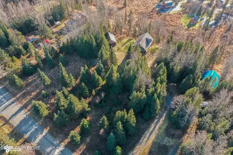 View/Area - 66285 Bluff Dr, Ninilchik, AK 99639 photo 4 of 15