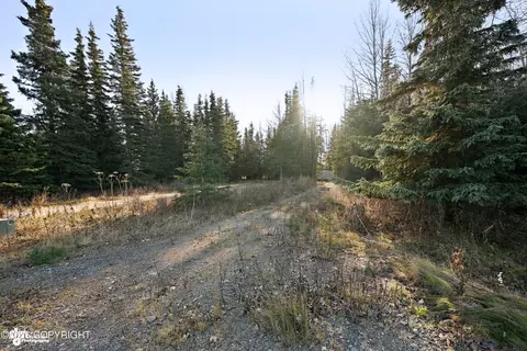 Exterior - 66285 Bluff Dr, Ninilchik, AK 99639 photo 14 of 16