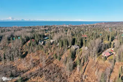 View/Area - 66285 Bluff Dr, Ninilchik, AK 99639 photo 10 of 15