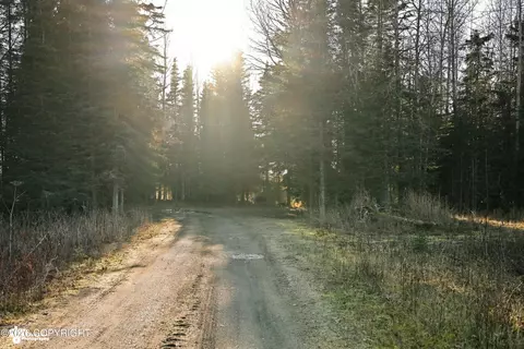 Other - 66285 Bluff Dr, Ninilchik, AK 99639 photo 36 of 37