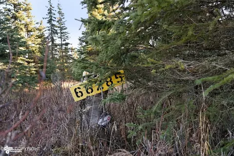 Other - 66285 Bluff Dr, Ninilchik, AK 99639 photo 35 of 37