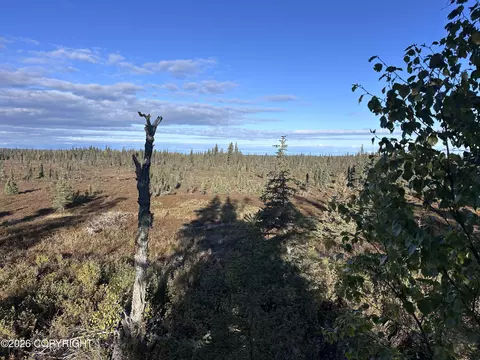 68045 Stoddard Ave, Anchor Point, AK 99556