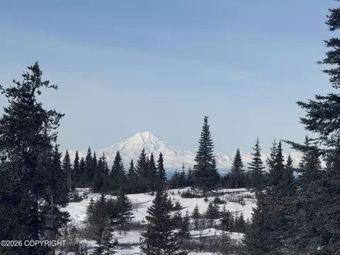 53777 Towe Ave, Ninilchik, AK 99639