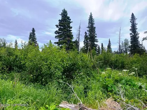 lot13 A Alta Ct, Anchorage, AK 99516