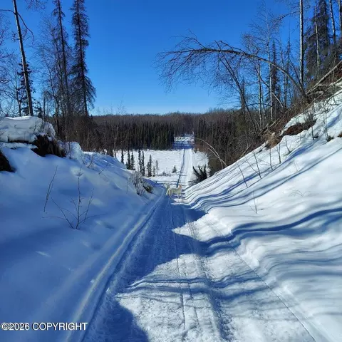 No Road E Walsted Drive, Talkeetna, AK 99676