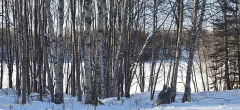 L39 B1 Eagle Avenue, Nikiskinorth Kenai, AK 99635