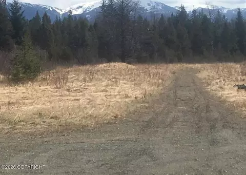 lot1 A2 Plat 2009-21, Gustavus, AK 99826