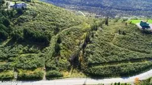 12610 Glen Alps Rd, Anchorage, AK 99516