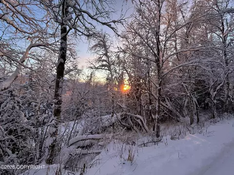 18919 Upper Skyline Dr, Eagle River, AK 99577 photo 19