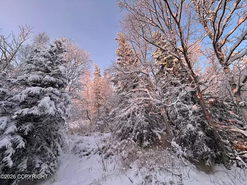 18919 Upper Skyline Dr, Eagle River, AK 99577 photo 25