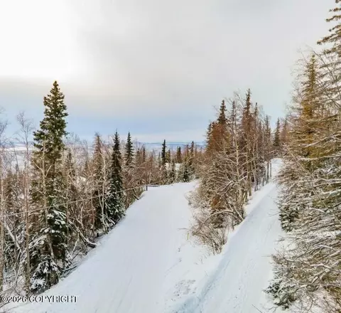 18919 Upper Skyline Dr, Eagle River, AK 99577 photo 4
