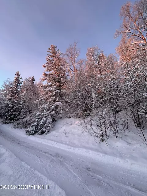 18919 Upper Skyline Dr, Eagle River, AK 99577 photo 29